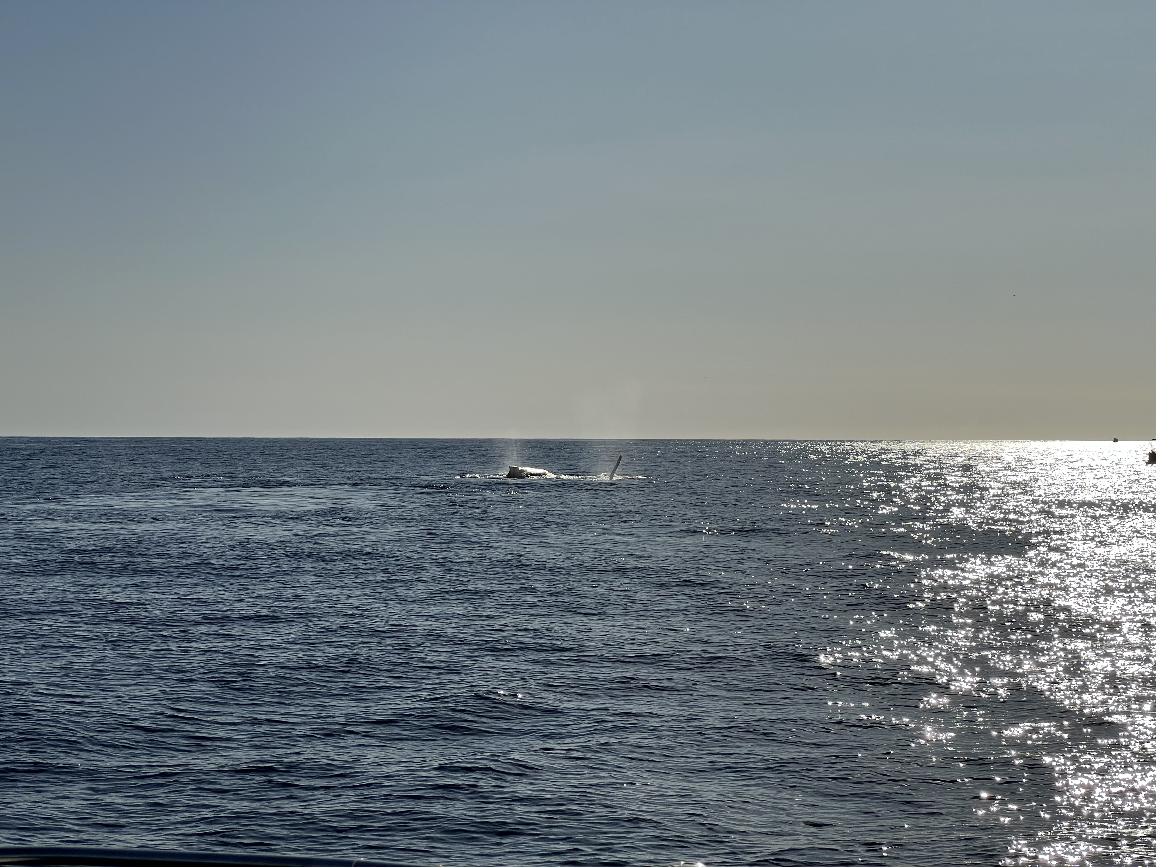 ./2024/13 - Cabo/IMG_4693.jpg